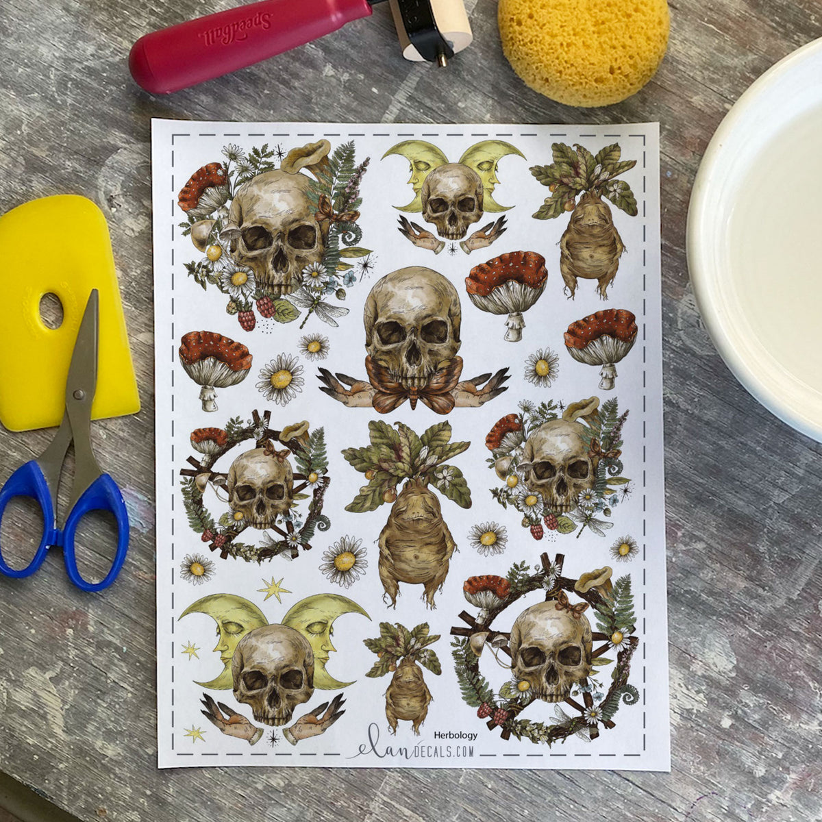 Herbology - Overglaze Decal Sheet