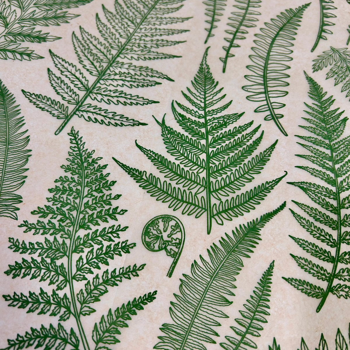 Jungle Ferns - Underglaze Transfer Sheet