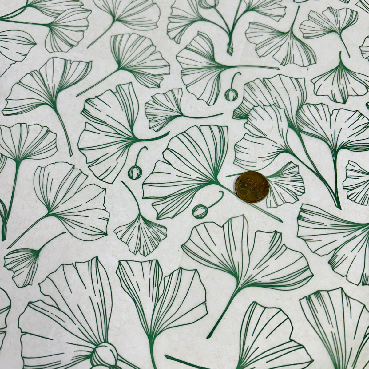 Ginkgo Berries - Underglaze Transfer Sheet