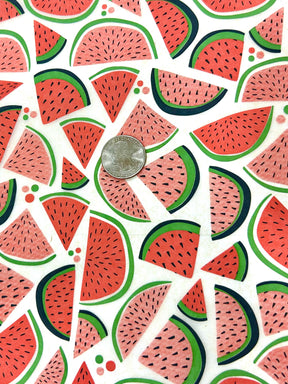 Watermelon - Underglaze Transfer Sheet - Multi Colored