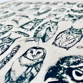 Owls - Underglaze Transfer Sheet - You Choose Color