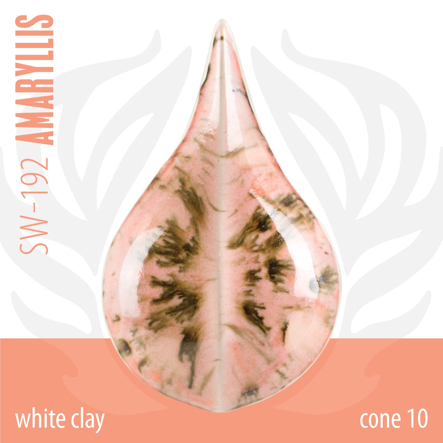 Amaryllis