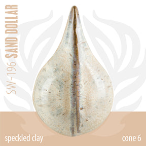 Sand Dollar