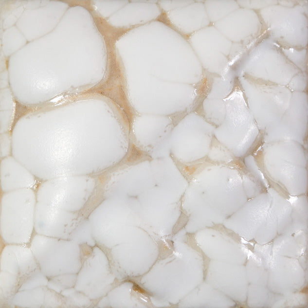 White Mudcrack