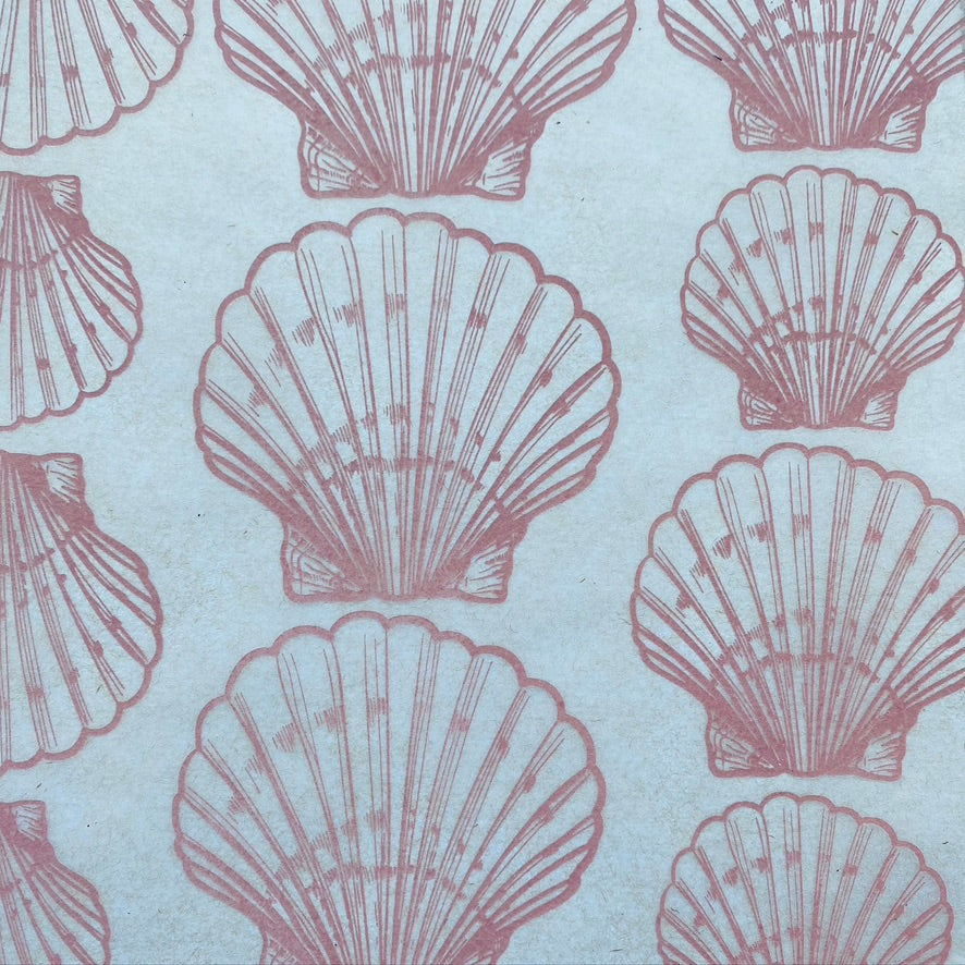 Shells Scallop - Underglaze Transfer Sheet - You Choose Color