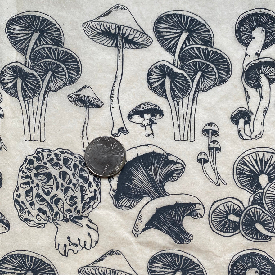 Mushrooms Natural - Underglaze Transfer Sheet - You Choose Color