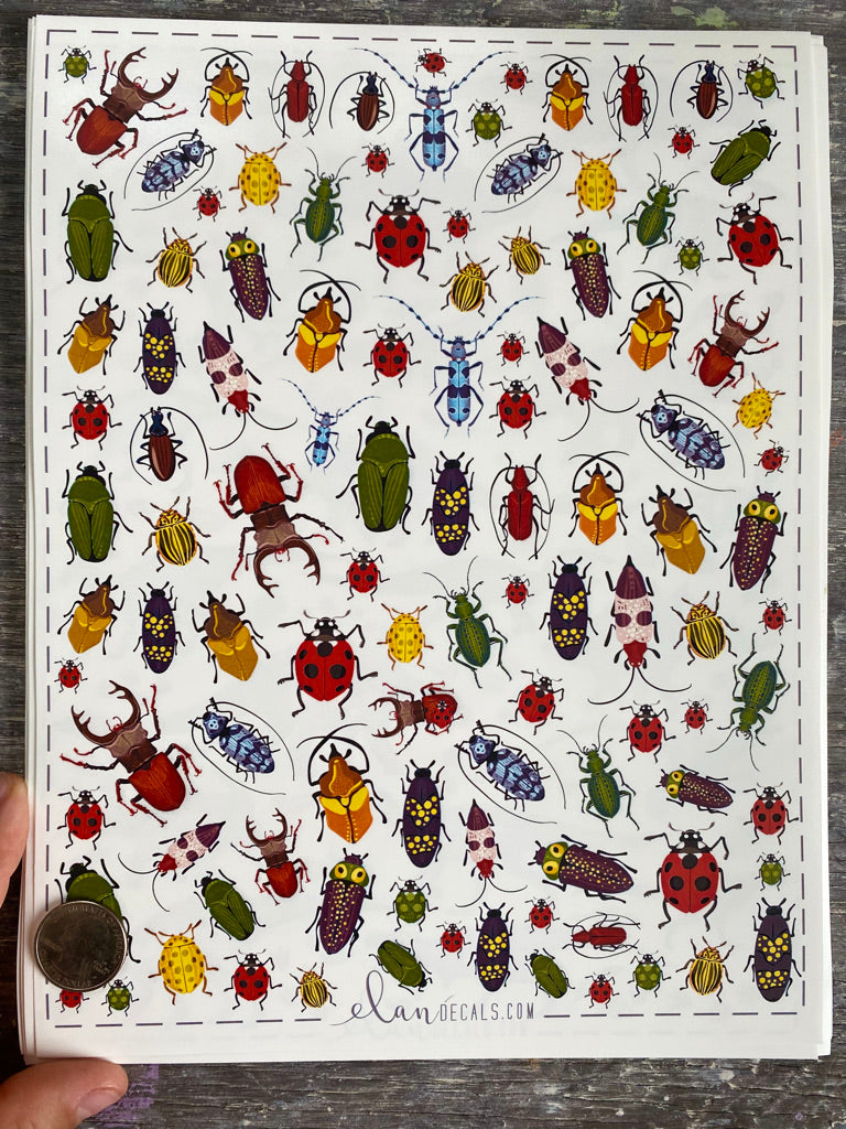 Beetles - Overglaze Decal Sheet