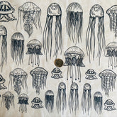 Jellyfish - Underglaze Transfer Sheet