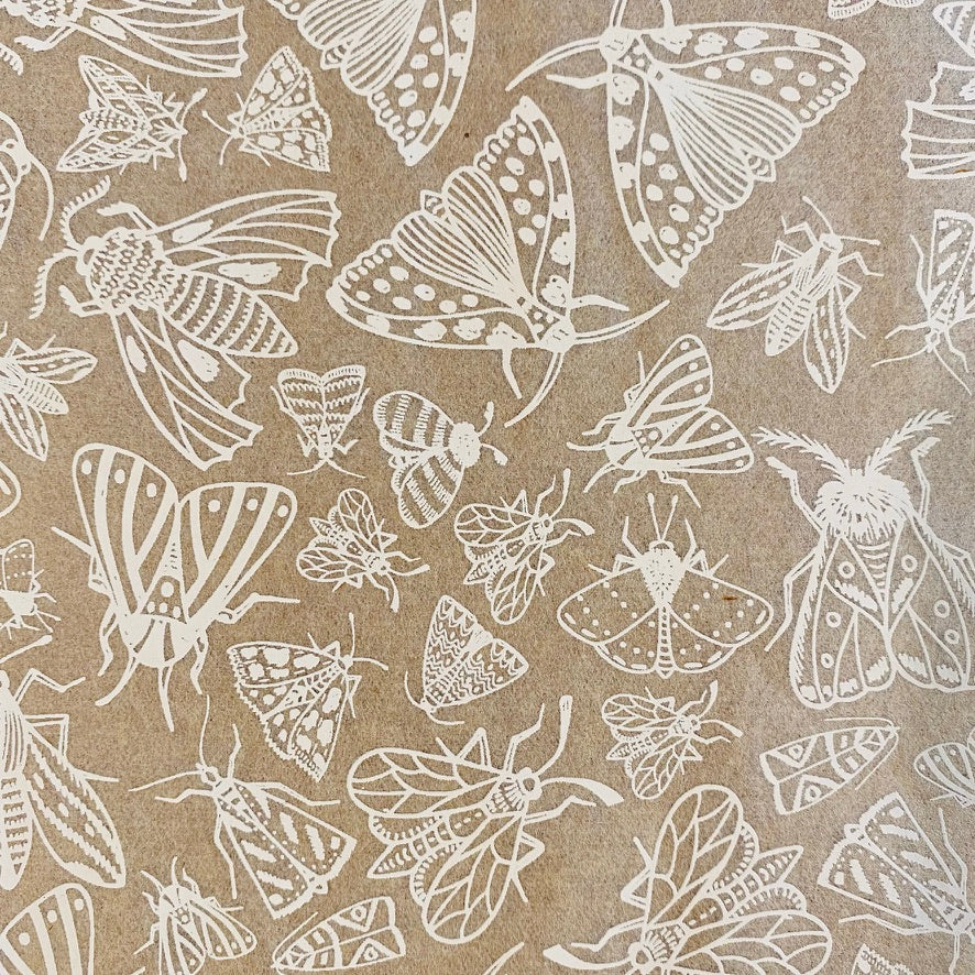 Moths - Underglaze Transfer Sheet - You Choose Color