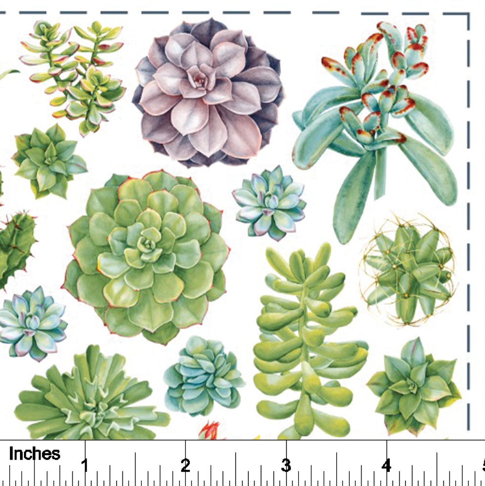 Succulents - Overglaze Decal Sheet