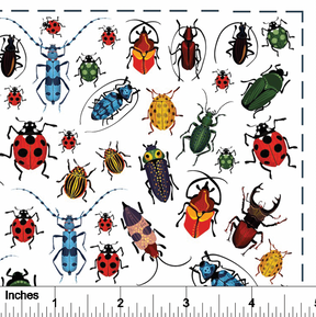 Beetles - Overglaze Decal Sheet