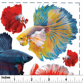 Beta Fish from Photo - Overglaze Decal Sheet