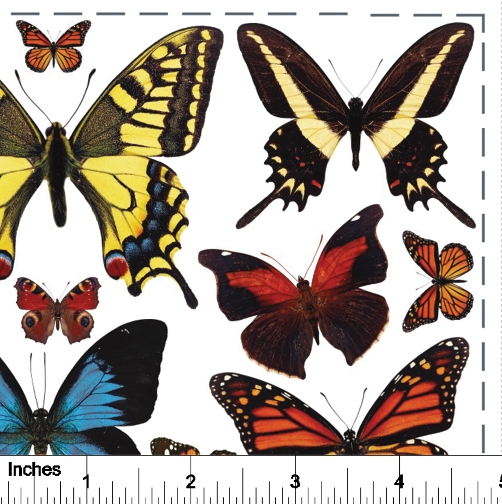 Butterflies from Photo - Overglaze Decal Sheet
