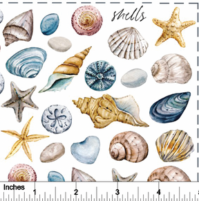 Shells - Overglaze Decal Sheet