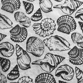 Shells Multi - Underglaze Transfer Sheet